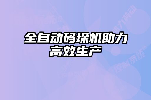 全自動碼垛機(jī)助力高效生產(chǎn)