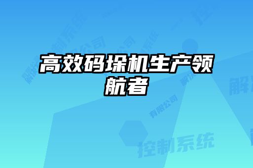 高效碼垛機生產(chǎn)領航者