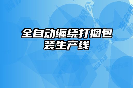 全自動(dòng)纏繞打捆包裝生產(chǎn)線(xiàn)