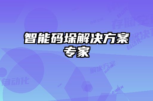 智能碼垛解決方案專(zhuān)家