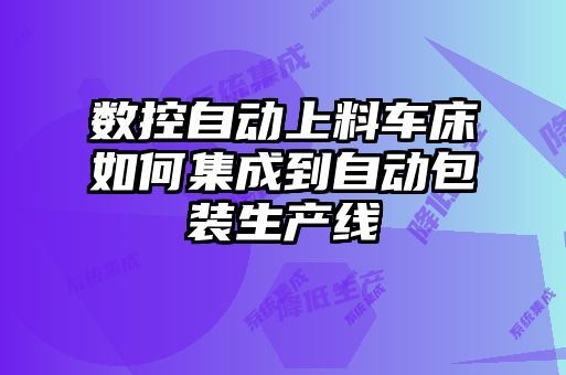 數(shù)控自動上料車床如何集成到自動包裝生產線