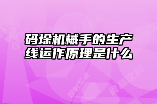 碼垛機(jī)械手的生產(chǎn)線運作原理是什么