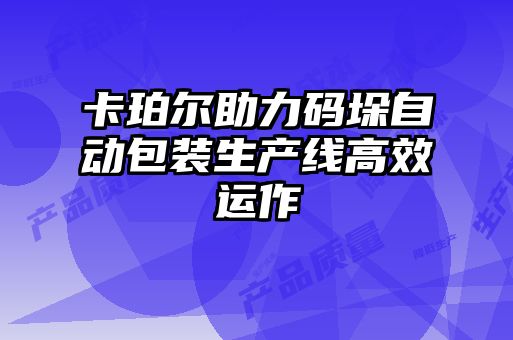 卡珀?duì)栔Υa垛自動包裝生產(chǎn)線高效運(yùn)作