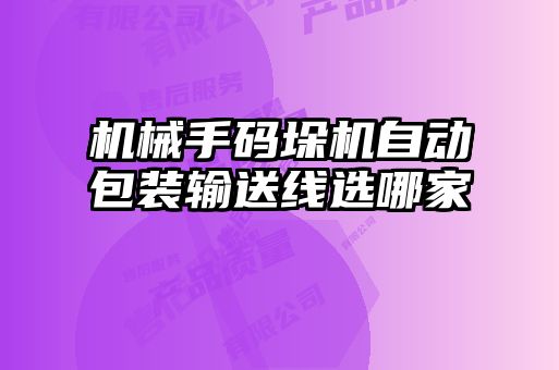 機(jī)械手碼垛機(jī)自動包裝輸送線選哪家