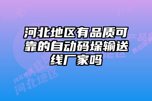 河北地區(qū)有品質(zhì)可靠的自動(dòng)碼垛輸送線(xiàn)廠(chǎng)家嗎